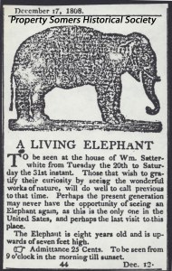 An advertisement for Old Bet